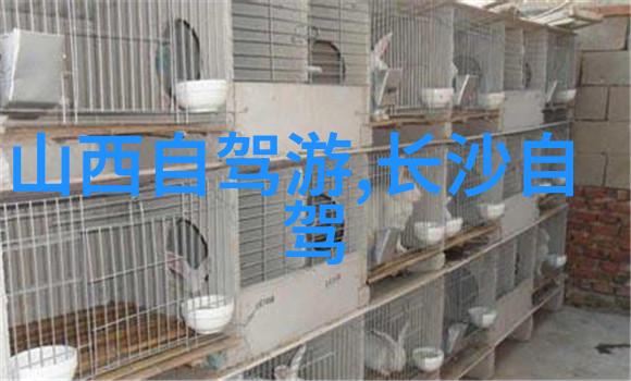 国外游玩梦想重燃了解最新的旅游签证规定