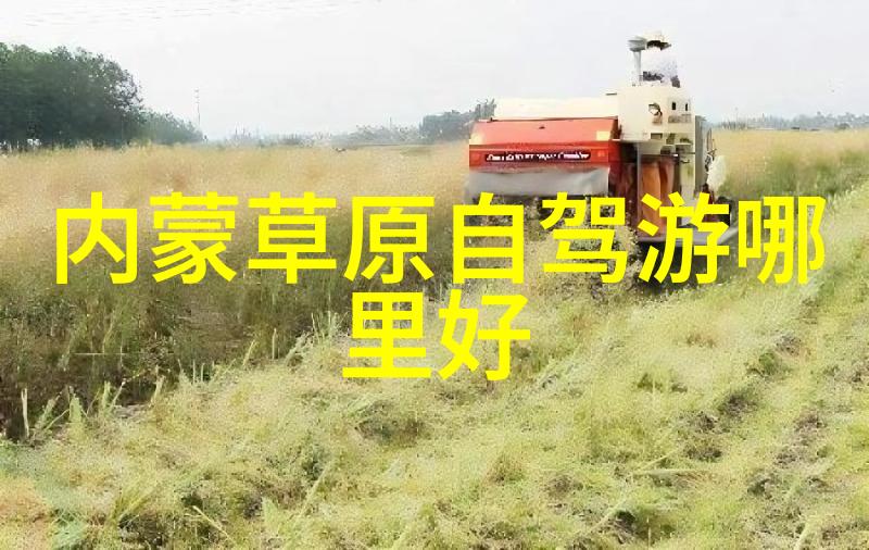 结伴自驾游探索自然之美共享旅途体验
