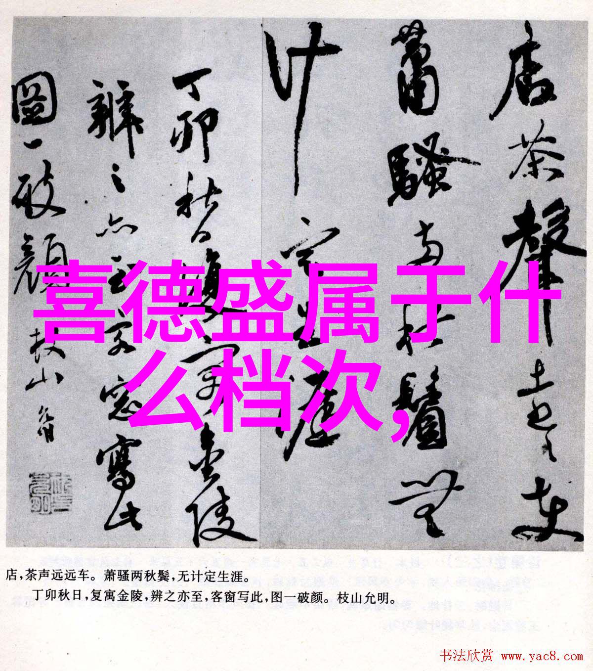 亲身实践如何通过长距离骑行改善心肺功能