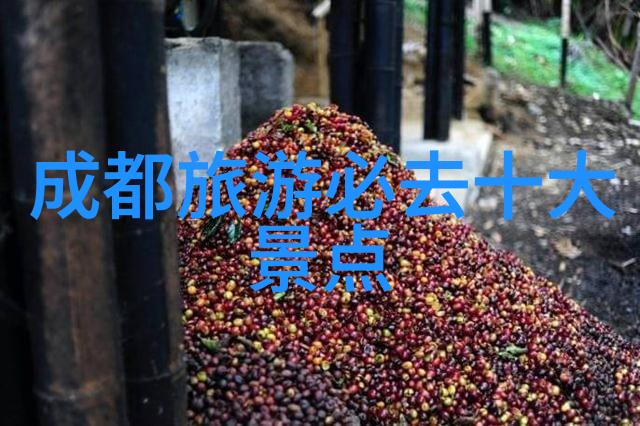石家庄奔驰C级车友会探秘2021年最火旅游热点事件