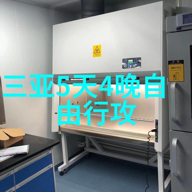 空中花园巴黎香榭丽舍大街闲逛随笔