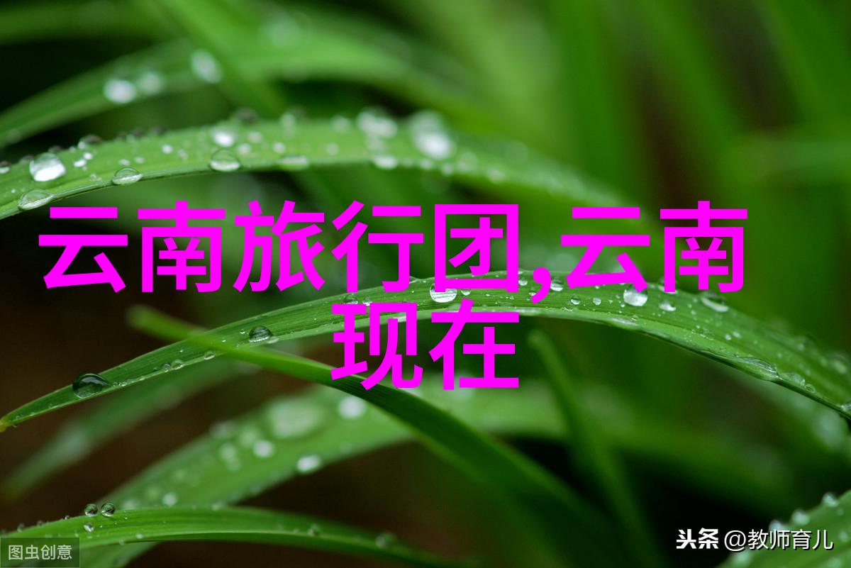 旅游新手必备知识选择那些既性价比高又安稳的地方出发