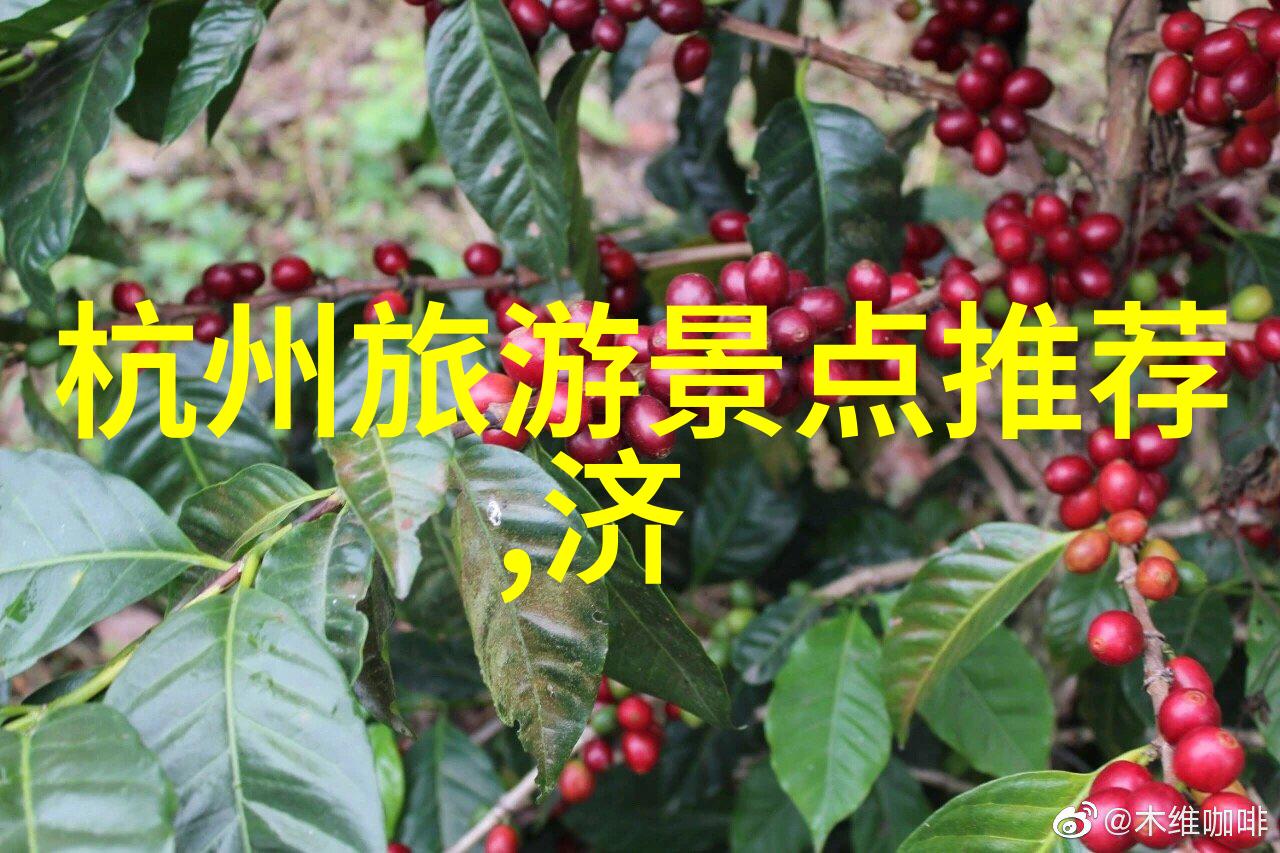 云南必游十景探秘大理洱海丽江古城与更隐秘之地