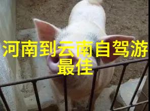 甘肃自驾游穿越古道寻梦路