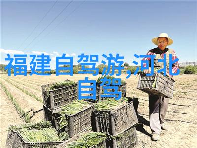 环太湖骑行之旅一条探索自然的道路