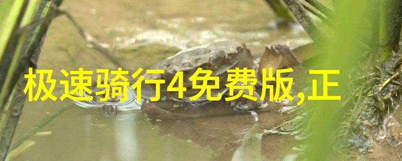 电子导游开启文化探索之门