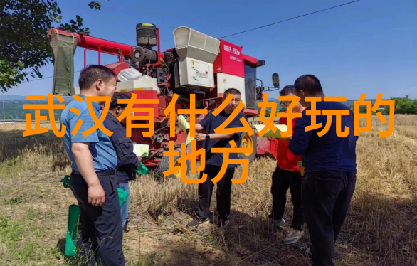 探索全球美景共享旅行故事领略旅游社交平台的魅力