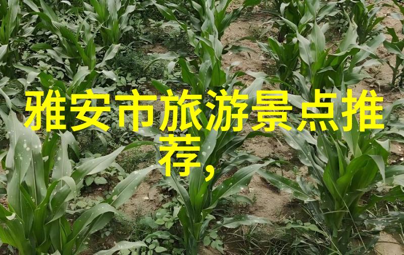 骑行20公里算不算高强度解析骑行者的体能水平