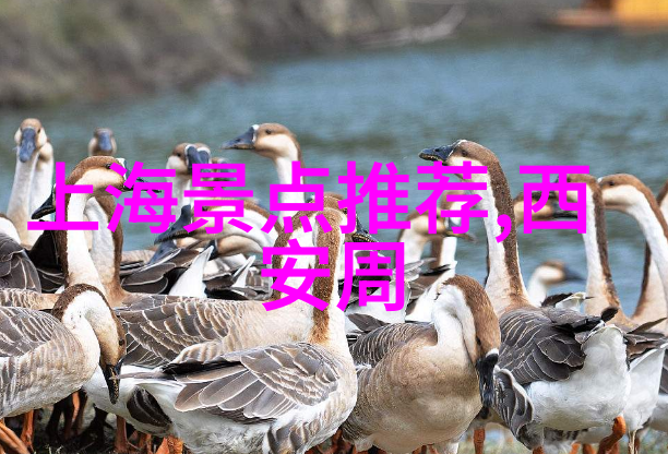 从山到海的浪漫之旅桂林沿途美食推荐