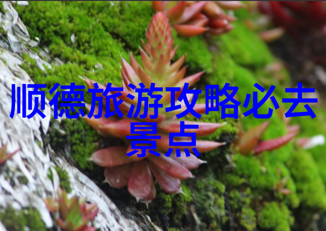 海口到三亚海南最美海岸线自驾行