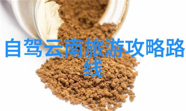 户外活动记录表中班探索佛山最美露营地