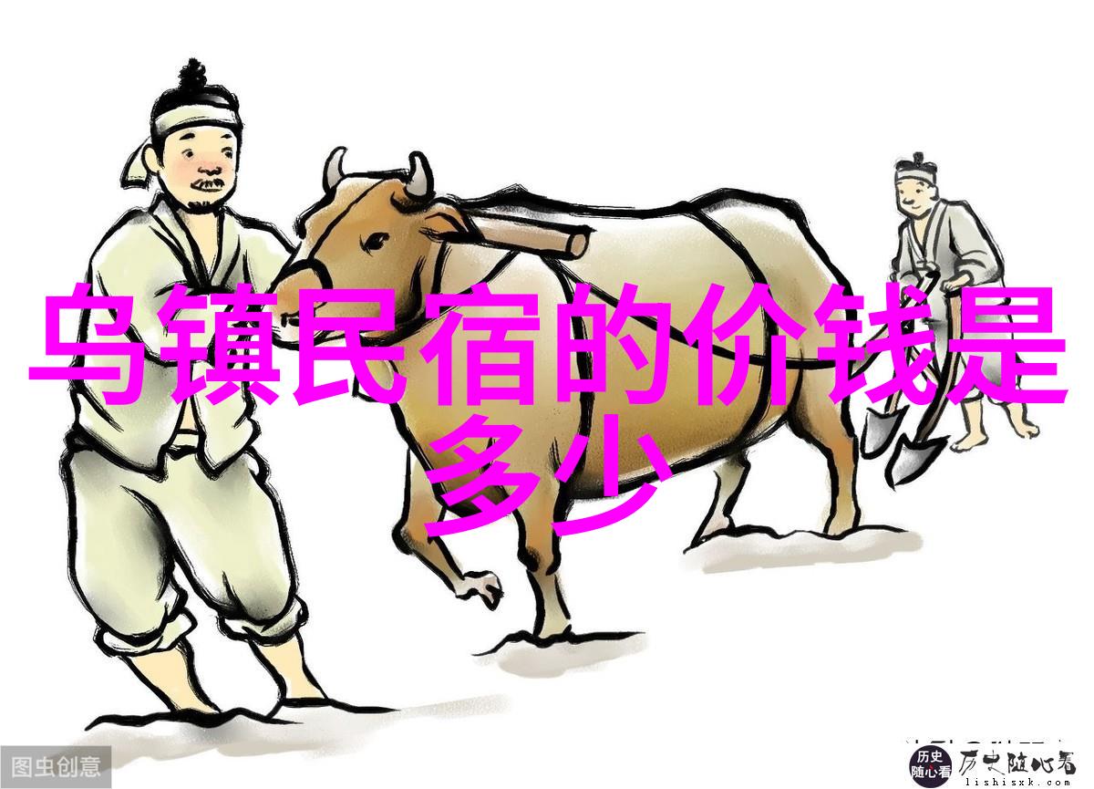 云南大地上的野生菌趣寻找金针菇和松茸