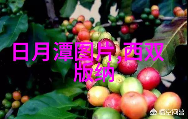 苏州美景探秘必游景点推荐攻略