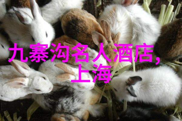 旅行前必备三亚民宿选择时要考虑哪些因素
