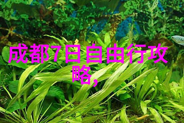 荒漠中的花海沙丘之滨的绽放奇迹