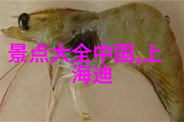 在去苏州旅游时是否可以开轿车