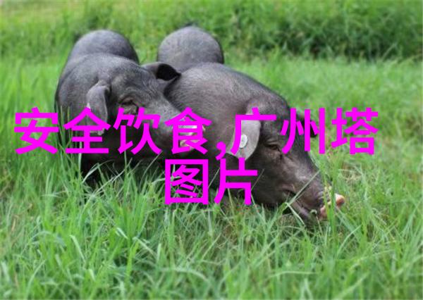 从山路到高速公路极速骑行4教你如何适应各种环境
