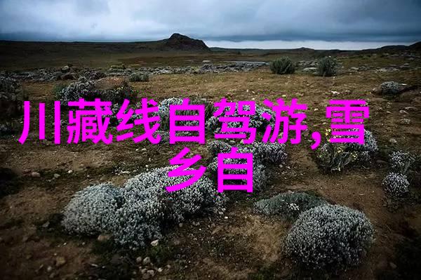 台湾美食探秘尝遍台北小吃深度体验夜市风情