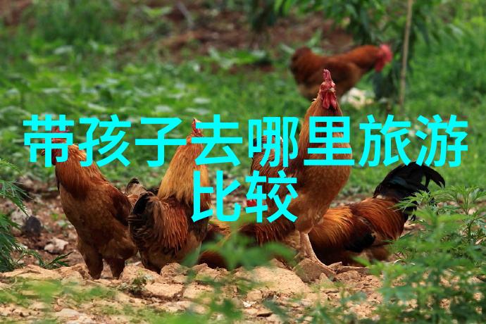 重庆奇观摩天轮下绽放的万光长街