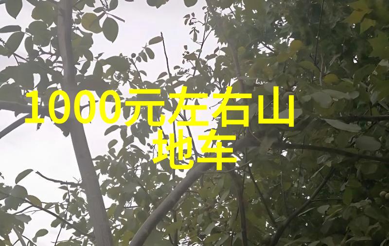 游记优美开头摘抄大全-遥望天际探索地平线的诗意篇章