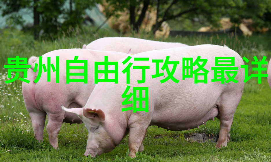 威海美丽风光探秘海滨城市的魅力之地