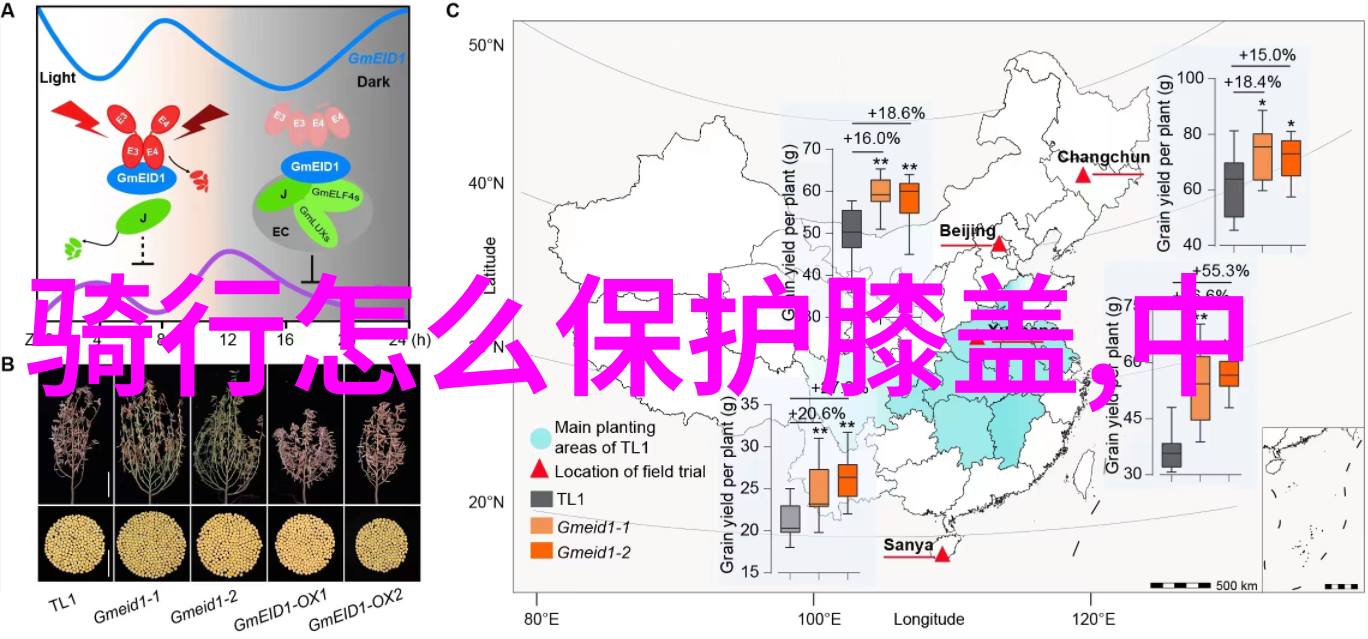 云南游6天5夜报价跟团-翠峦碧波云南6天5夜精选行程报价