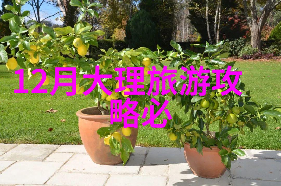 怎样拍摄出令人难忘的自驾游照片