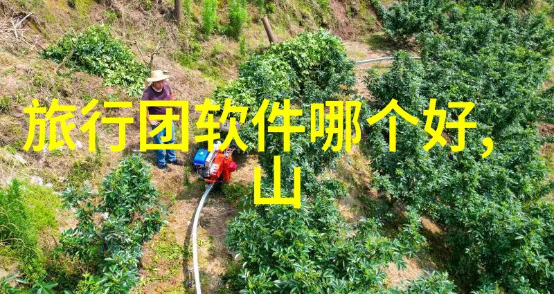 解锁秘密花园揭秘幼儿园户外100种神秘游戏