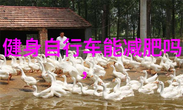 周边好玩的旅游景点推荐我来带你去探秘这些隐藏在平凡之中的美丽角落