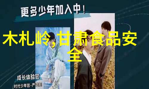 公园中的旋转木马让人沉醉的旋转木马体验