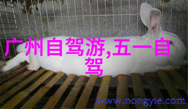 全国旅游监管平台导游入口启用提升旅行服务质量保障游客安全