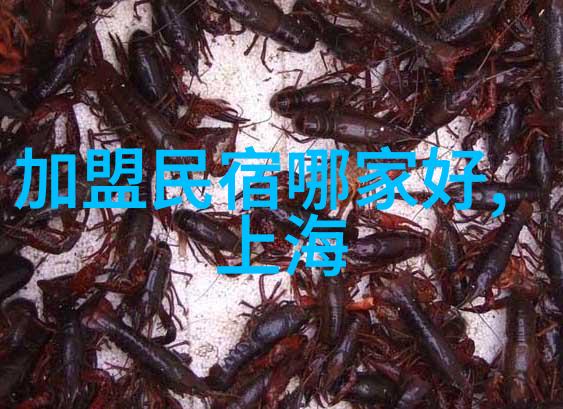 重庆旅游5天自由行攻略你准备好了吗