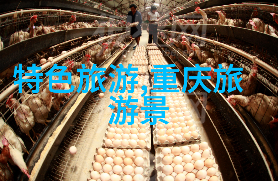 旅游攻略网站我是如何在网上找到最佳假期去处的