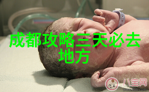 云南旅行指南探索翠绿大地的最佳行程