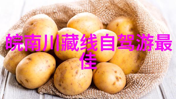 公路自行车最佳坐姿 - 节奏骑士的舒适坐姿艺术