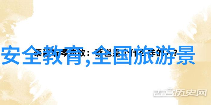 美国第十次人口普查揭秘国家变迁的数字面貌