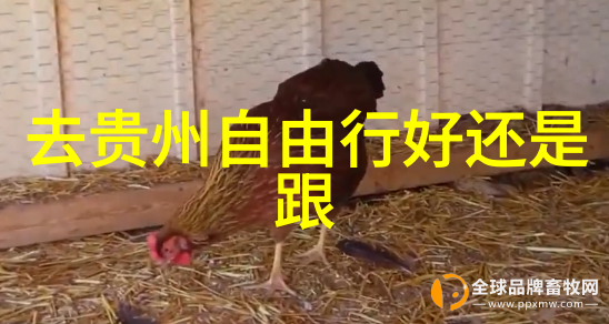 大连自由行必去景点一站到底游玩攻略
