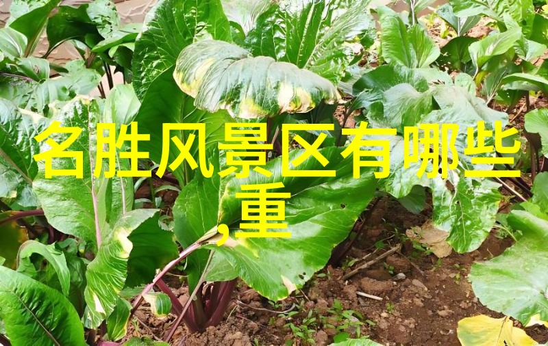 绿色出行环保旅行中國旅遊網站推廣可持續發展觀念