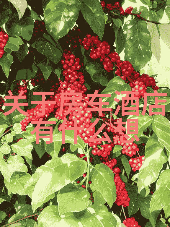 上海外滩附近民宿推荐 - 沿着黄浦江的轻纱窗探索最美民宿
