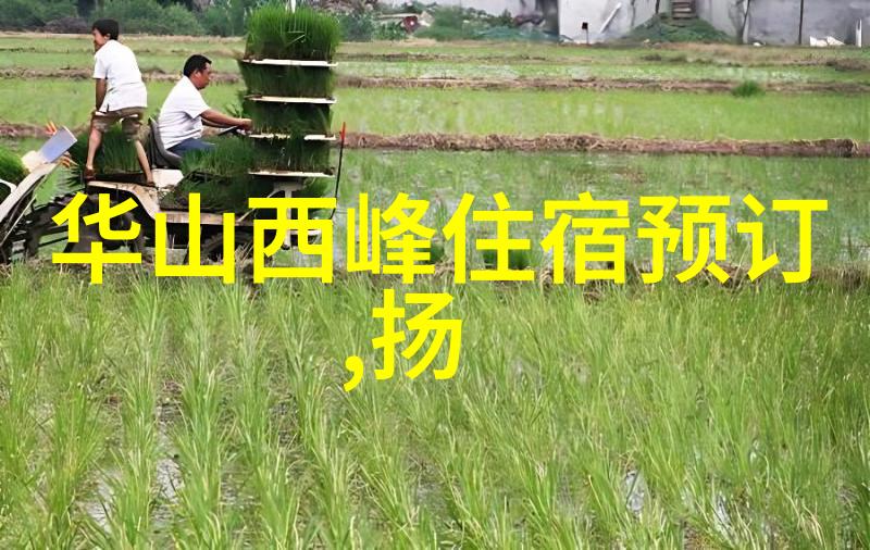 人定湖公园秘境中的奇迹