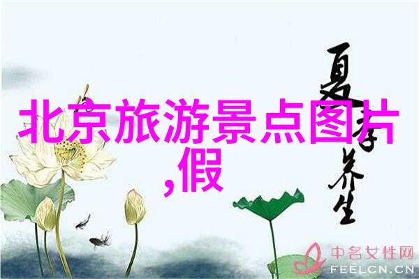 中班体育翻山越岭教案如何评估学生的表现与成长