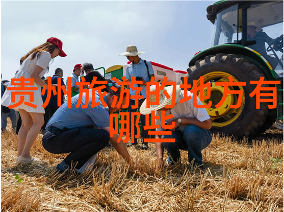 探索奇迹我在初中作文之旅上的800字满分游记