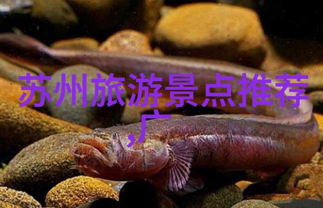 上海最值得去的华盛顿特区6家独具特色的酒店反复探索其卓越之处