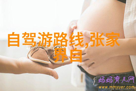 新东方快车新疆旅游专列价格-探索西域奇缘新东方快车新疆旅游专列价格详解