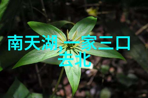 黄山自驾游我和我的车友们的黄山大冒险
