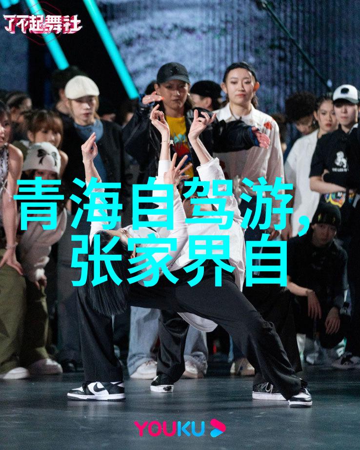 全国旅游监管平台的导游入口-踏足每一站全国旅游监管平台导游入口的重要性与实用指南
