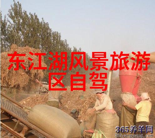 西安骑创体育一家经营理念前卫的单车月合作车店像一位智慧的导师引领着骑行群就像探险者一般勇往直前而这背