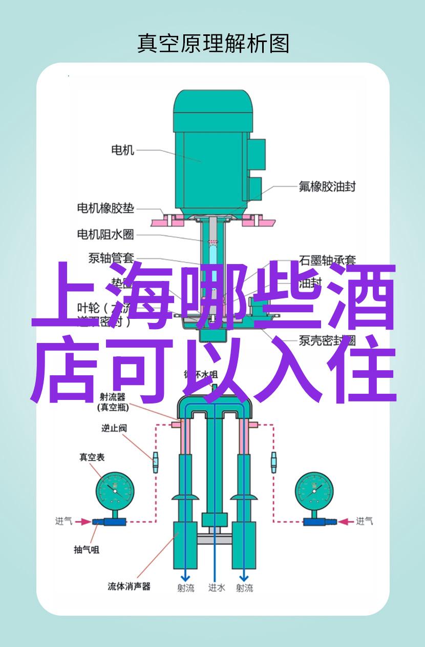 上海晚上11点后哪里可以玩我来带你走进夜幕下的上海秘密花园