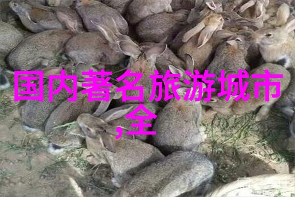 小普陀 - 小普陀山的神秘与魅力探索上海市区内最古老的佛教圣地