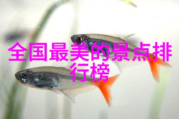 探索四川美景自驾游的奇遇与发现